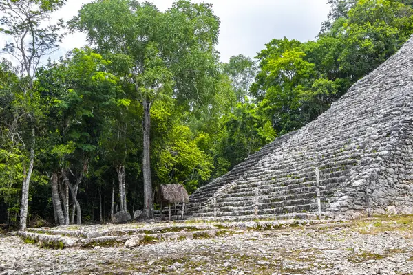 科巴玛雅人破坏了科巴市图卢姆金塔纳罗奥州热带森林丛林中的古建筑和金字塔Nohoch Mul — 图库照片