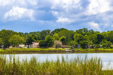 Laguna lagünü Coba nehri gölü. Coba Belediyesi 'nde mavi turkuaz su ve tropikal doğa ormanıyla birlikte. Tulum Quintana Roo Mexico..