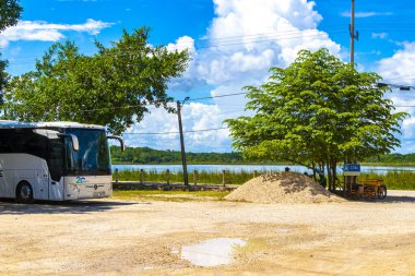 Coba Quintana Roo Meksika 01. Ekim 2023 Laguna lagünü Coba nehri gölü Coba Belediyesi Tulum Quintana Roo Meksika 'da mavi turkuvaz suyu ve tropikal doğa ormanıyla dolu..