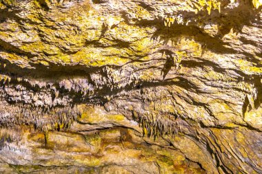 Cenote Tankach Ha Tankach-Ha, Coba Belediyesi Tulum Quintana Roo Meksika 'da kireç taşı kayaları ve mavi turkuaz suyu ile bataklık..
