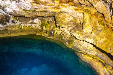 Cenote Tankach Ha Tankach-Ha, Coba Belediyesi Tulum Quintana Roo Meksika 'da kireç taşı kayaları ve mavi turkuaz suyu ile bataklık..