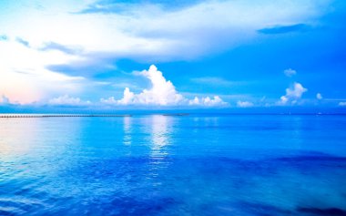 Playa del Carmen Mexico 'da turkuvaz mavisi tatil beldeleri ve palmiye ağaçları olan tropik Meksika Karayip plajı manzarası..