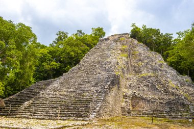 Coba Maya, Coba Belediyesi Tulum Quintana Roo Meksika 'daki tropikal orman ormanlarındaki antik bina ve piramit Nohoch Mul' u harap ediyor..