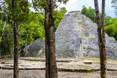 Coba Maya, Coba Belediyesi Tulum Quintana Roo Meksika 'daki tropikal orman ormanlarındaki antik bina ve piramit Nohoch Mul' u harap ediyor..