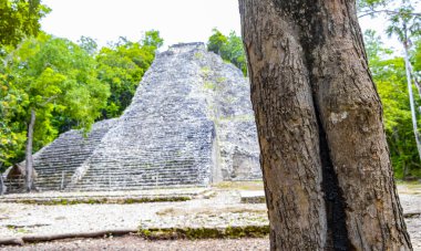 Coba Maya, Coba Belediyesi Tulum Quintana Roo Meksika 'daki tropikal orman ormanlarındaki antik bina ve piramit Nohoch Mul' u harap ediyor..