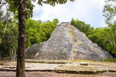 Coba Maya, Coba Belediyesi Tulum Quintana Roo Meksika 'daki tropikal orman ormanlarındaki antik bina ve piramit Nohoch Mul' u harap ediyor..