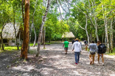 Tulum Quintana Roo Meksika 01. Ekim 2023 Coba Maya 'da turizm turizmi Coba Belediyesi Tulum Mexico' daki tropikal orman ormanlarındaki antik bina ve piramitleri harap ediyor..