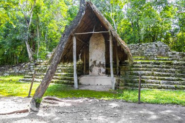Coba Maya, Coba Belediyesi Tulum Quintana Roo Mexico 'daki tropikal orman ormanlarındaki antik binaları ve piramitleri harap ediyor..