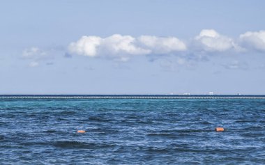 Playa del Carmen Mexico 'da turkuvaz mavisi tatil beldeleri ve palmiye ağaçları olan tropik Meksika Karayip plajı manzarası..