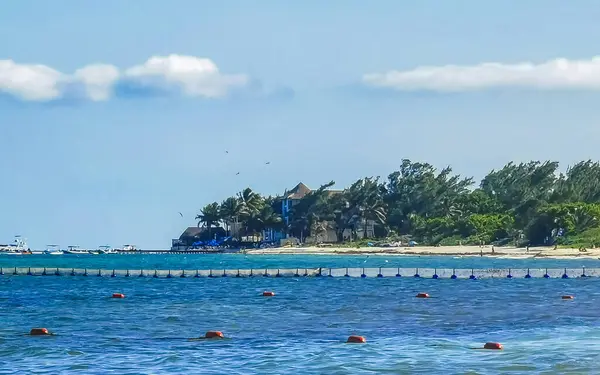 Playa Caribeña Tropical Mexicana Con Red Atrapamoscas Algas Sargazo Agua — Foto de Stock