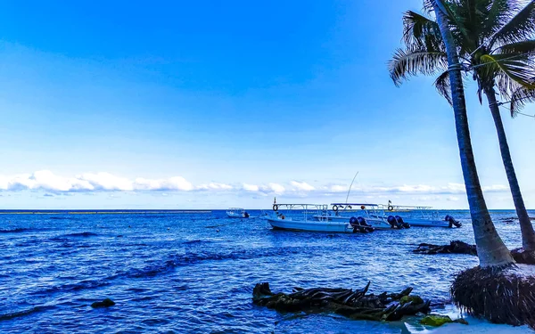 Playa Del Carmen Quintana Roo Mexico Mei 2023 Boot Jacht — Stockfoto