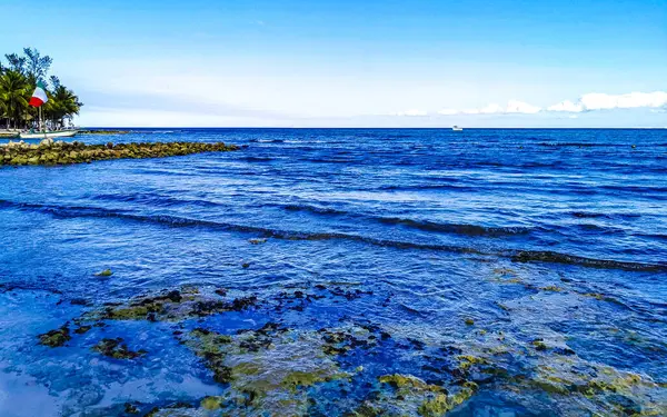 金塔纳罗奥岛加勒比海滩绿水和蓝水中的岩石和珊瑚 — 图库照片
