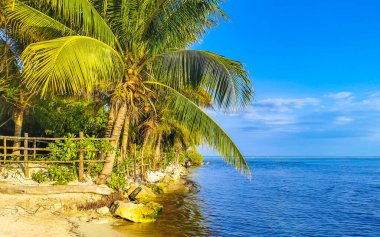 Playa del Carmen Mexico 'da turkuvaz mavisi tatil beldeleri ve palmiye ağaçları olan tropik Meksika Karayip plajı manzarası..