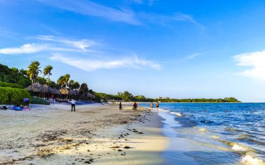 Playa del Carmen Quintana Roo Mexico 01. Ağustos 2023 Tropikal Meksika Karayip plajı ve denizi çok eğlenceli insanlarla güneş şemsiyeleri Playa del Carmen Meksika 'da turkuaz su.