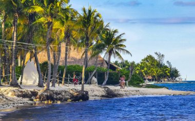 Playa del Carmen Quintana Roo Meksika 27. Mayıs 2023 Tropikal Meksika Karayip plajı ve denizi çok eğlenceli insanlarla güneş şemsiyeleri Playa del Carmen Meksika 'da turkuaz su.