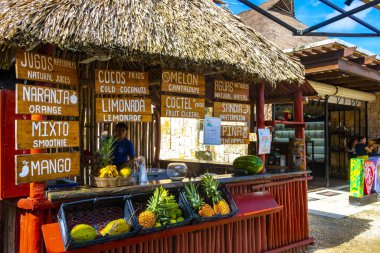 Coba Quintana Roo Meksika 01. Ekim 2023 'te, Coba Belediyesi Tulum Quintana Roo Mexico' da, restoranların bilet gişeleri ve Coba harabelerine giriş mağazaları açıldı..