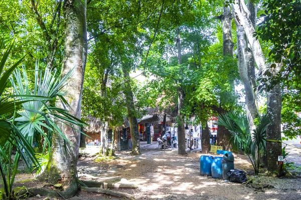 Coba Quintana Roo Meksika 01. Ekim 2023 'te, Coba Belediyesi Tulum Quintana Roo Mexico' da, restoranların bilet gişeleri ve Coba harabelerine giriş mağazaları açıldı..