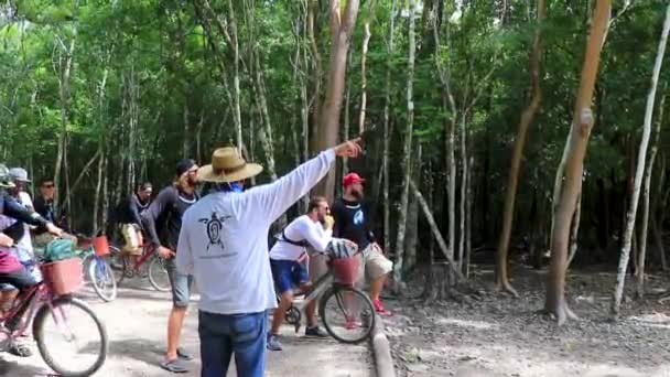 Coba Quintana Roo México Octubre 2023 Alquila Triciclo Bicicleta Pasea — Vídeos de Stock