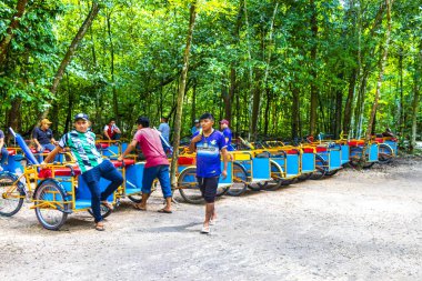 Coba Quintana Roo Meksika 01. Ekim 2023 Bisiklet kirala ve Coba Mahallesi 'nde Coba Harabeleri Macerası' nda bisiklet sür Tulum Quintana Roo Mexico.