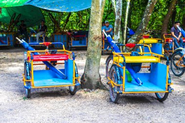 Coba Quintana Roo Meksika 01. Ekim 2023 Bisiklet kirala ve Coba Mahallesi 'nde Coba Harabeleri Macerası' nda bisiklet sür Tulum Quintana Roo Mexico.