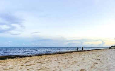 Playa del Carmen Quintana Roo Meksika 25. Ağustos 2022 Tropikal Karayipler 'de altın gün batımı ve palmiye ağaçları ve bulutlarla Playa del Carmen Quintana Roo Meksika' da.
