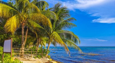 Playa del Carmen Quintana Roo Meksika 17. Mayıs 2023 Tropikal Meksika Karayip plajı ve birçok eğlenceli insanla panorama manzarası. Punta Esmeralda, Playa del Carmen Mexico 'dan güneşlenirler..