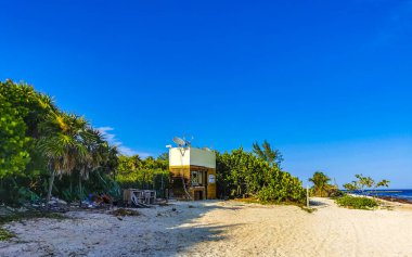 Playa del Carmen Mexico 'da turkuvaz mavisi tatil beldeleri ve palmiye ağaçları olan tropik Meksika Karayip plajı manzarası..