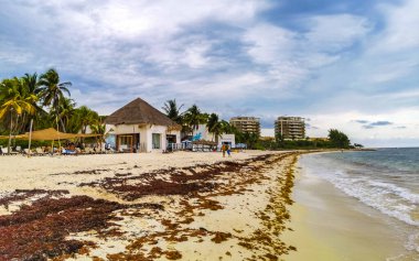 Playa del Carmen Quintana Roo Mexico 20. Mayıs 2023 Tropikal Meksika Karayip plajı ve denizi çok eğlenceli insanlarla güneş şemsiyeleri Playa del Carmen Meksika 'da turkuaz su.