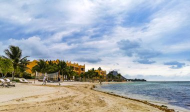 Playa del Carmen Mexico 'da turkuvaz mavisi tatil beldeleri ve palmiye ağaçları olan tropik Meksika Karayip plajı manzarası..
