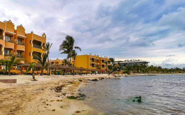 Playa del Carmen Quintana Roo Mexico 20. Mayıs 2023 Tropikal Meksika Karayip plajı ve denizi çok eğlenceli insanlarla güneş şemsiyeleri Playa del Carmen Meksika 'da turkuaz su.