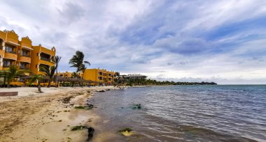 Playa del Carmen Quintana Roo Mexico 20. Mayıs 2023 Tropikal Meksika Karayip plajı ve denizi çok eğlenceli insanlarla güneş şemsiyeleri Playa del Carmen Meksika 'da turkuaz su.