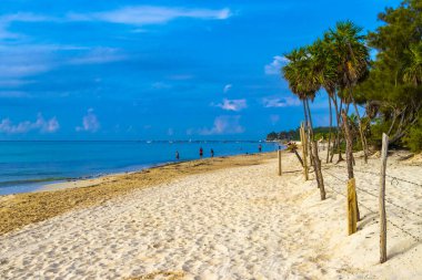 Playa del Carmen Mexico 'da turkuvaz mavisi tatil beldeleri ve palmiye ağaçları olan tropik Meksika Karayip plajı manzarası..