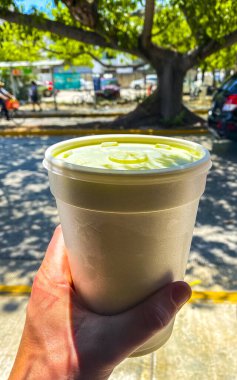 Playa del Carmen Quintana Roo Meksika 'da içmek için yeşil sağlıklı meyve suyu..