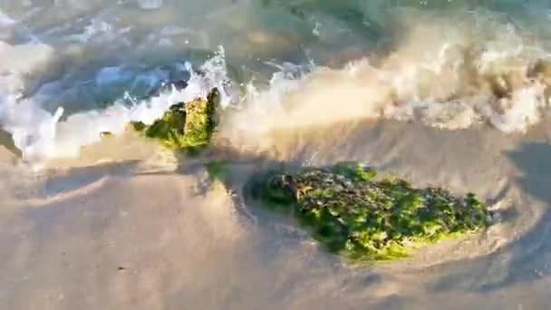 Playa Del Carmen Quintana Roo Meksika Sahilindeki Turkuaz Yeşil Mavi — Stok video