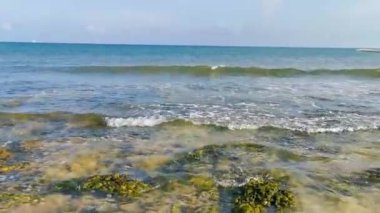 Playa del Carmen Quintana Roo Meksika sahilindeki turkuaz yeşil ve mavi sularda kayalar ve mercanlar..