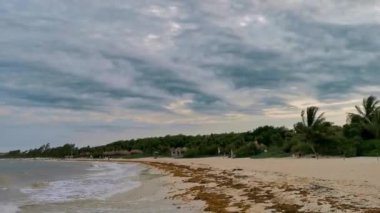 Playa del Carmen Quintana Roo Mexico 16. Haziran 2023 Playa del Carmen Meksika 'da berrak turkuaz mavi su ve deniz yosunu otlu sargazo ile Tropikal Karayip sahili manzarası.