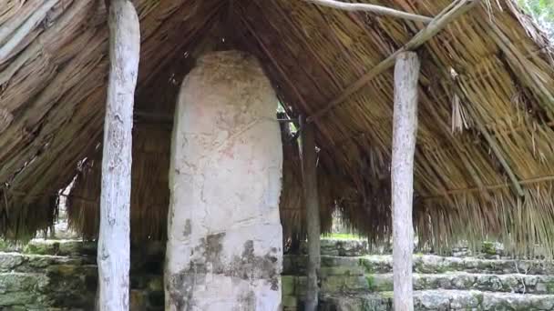 Коба Майя Разрушает Древние Здания Пирамиды Тропических Лесных Джунглях Муниципалитете — стоковое видео