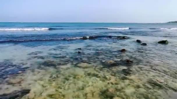 プレヤデルカルメンキンタナのビーチでターコイズグリーンと青の水の石やサンゴ Roo Mexico — ストック動画