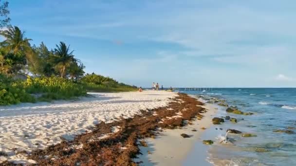 Playa Del Carmen Quintana Roo Μεξικό Ιούνιος 2023 Πανόραμα Τροπικό — Αρχείο Βίντεο