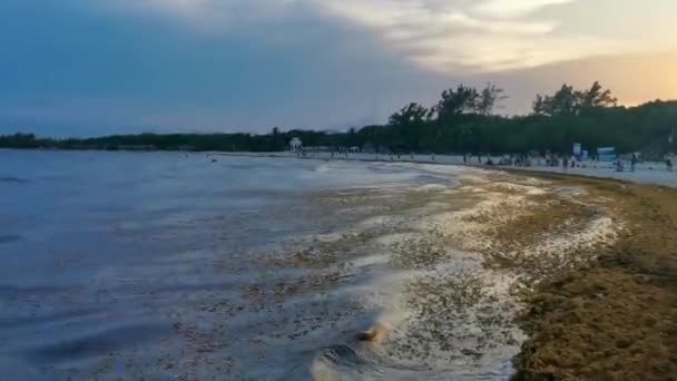 Ηλιοβασίλεμα Στο Τροπικό Τοπίο Της Καραϊβικής Παραλία Πανόραμα Σαφή Γαλαζοπράσινα — Αρχείο Βίντεο