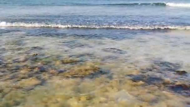 Камені Корали Бірюзовій Зеленій Блакитній Воді Пляжі Плей Дел Кармен — стокове відео