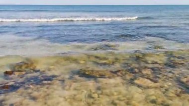 Playa del Carmen Quintana Roo Meksika sahilindeki turkuaz yeşil ve mavi sularda kayalar ve mercanlar..