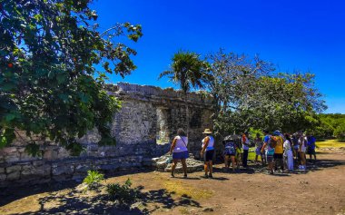 Tulum Quintana Roo Mexico 07. 2023 Ağustos 'unda Antik Tulum, tapınak kalıntıları ve tropikal doğal orman palmiyeleri manzarasındaki sanat eserleriyle Maya bölgesini harap etti..