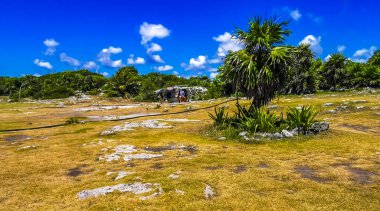 Tulum Quintana Roo Mexico 07. 2023 Ağustos 'unda Antik Tulum, tapınak kalıntıları ve tropikal doğal orman palmiyeleri manzarasındaki sanat eserleriyle Maya bölgesini harap etti..