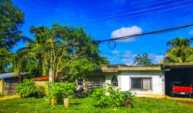 Tulum Meksika 01. Ekim 2023 Tipik renkli sokak yolu ve şehir manzarası boyunca Meksika 'da Tulum' da palmiye ağaçları ve restoranlar trafiği.