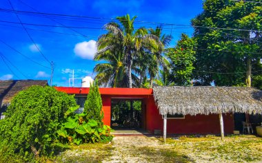 Tulum Meksika 01. Ekim 2023 Tipik renkli sokak yolu ve şehir manzarası boyunca Meksika 'da Tulum' da palmiye ağaçları ve restoranlar trafiği.