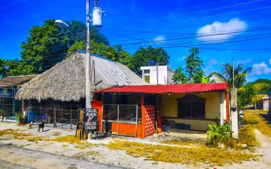 Tulum Meksika 01. Ekim 2023 Tipik renkli sokak yolu ve şehir manzarası boyunca Meksika 'da Tulum' da palmiye ağaçları ve restoranlar trafiği.