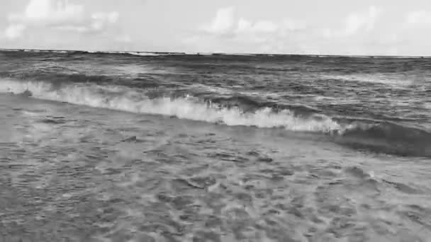 メキシコの熱帯メキシコのカリブ海と明確なターコイズブルーの水とメキシコの波とビーチ風景パノラマ — ストック動画