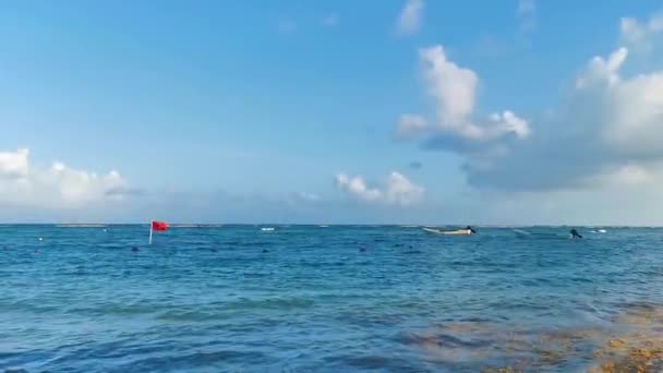 Mar Tropical Mexicano Caribenho Paisagem Praia Panorama Com Águas Azuis — Vídeo de Stock