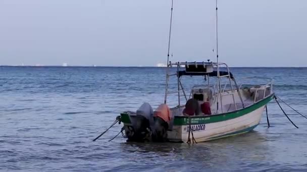 Playa Del Carmen Quintana Roo Messico Agosto 2023 Barca Yacht — Video Stock